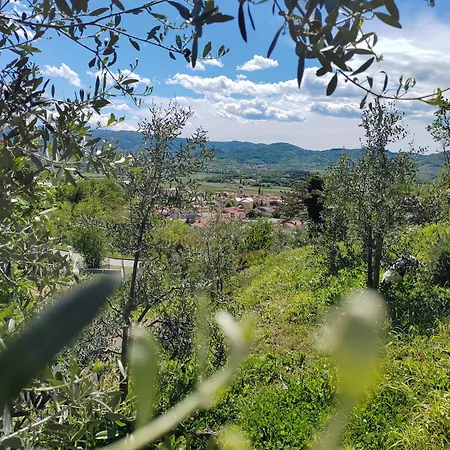 Apartma Frigidum Apartment Vipava